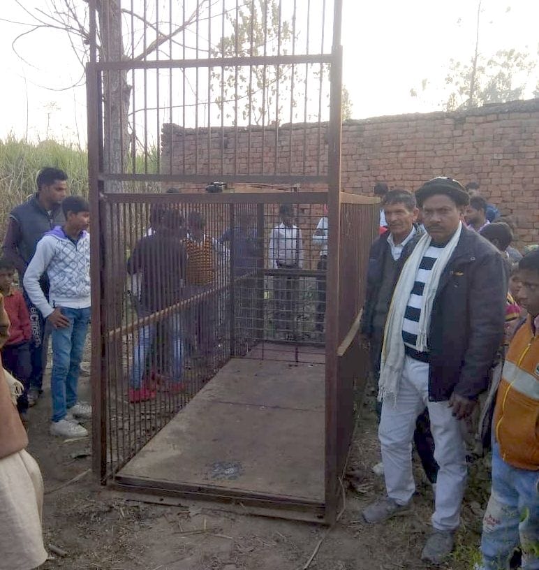 Guldar reached the population in search of prey