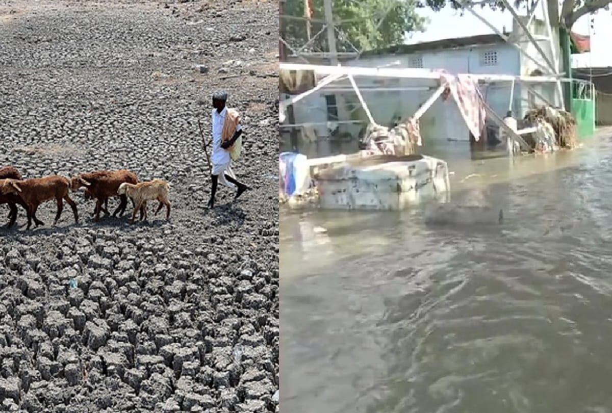 4.5 crore will have to leave home by 2050 due to climate change