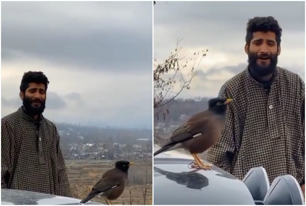 a video viral in social media that a guy sings beautiful song and the bird is enjoying the voice