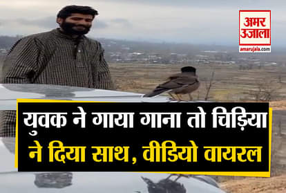 a guy sing a song and bird enjoying video viral on social media