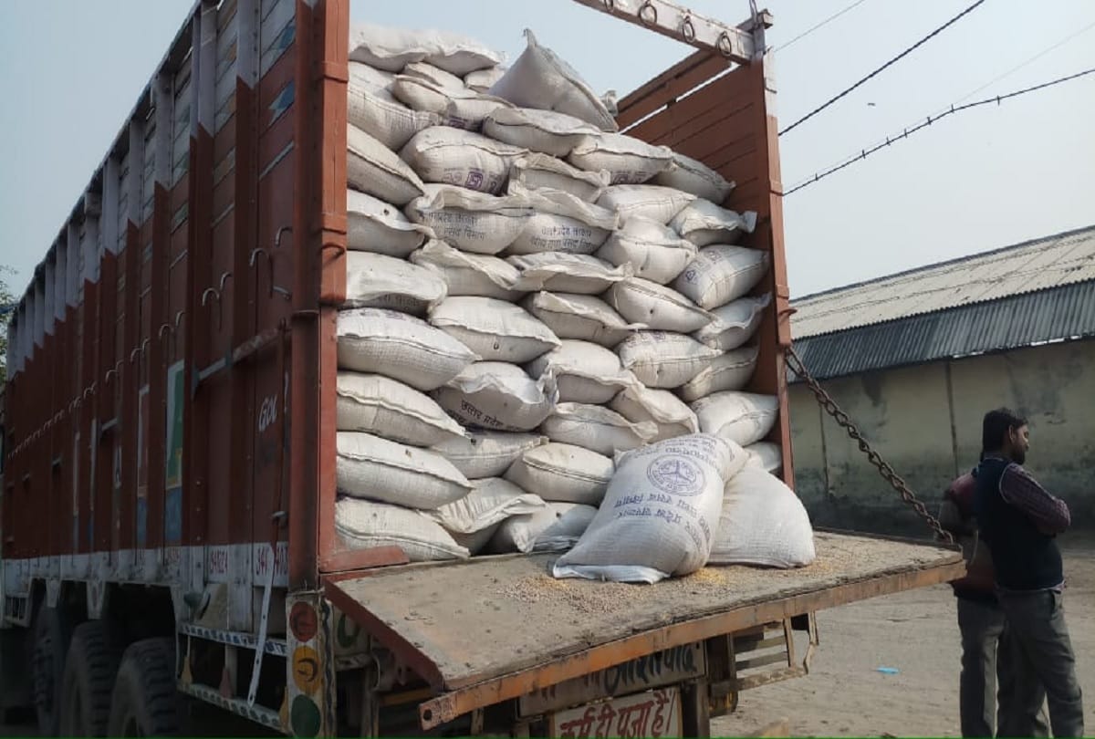 central government extended the date of wheat procurement till 31 may