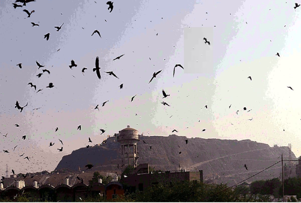 Road will be built from soil extracted from garbage in delhi
