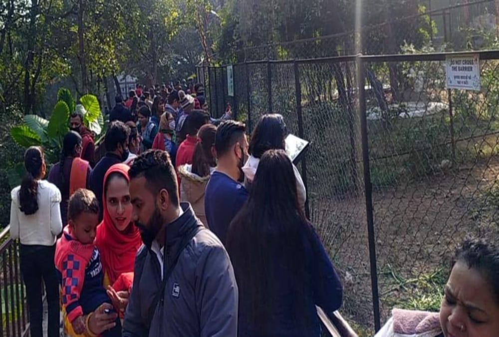 Coronavirus in Uttarakhand Latest News Today: Tourist Heavy Crowd in Dehradun Zoo Photos