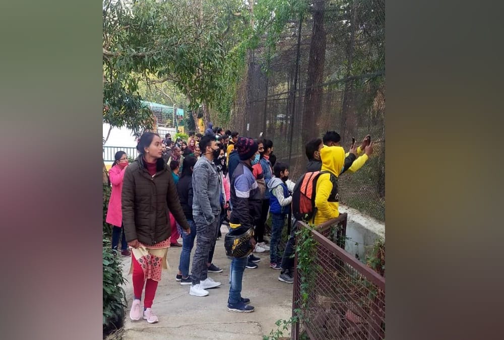 Coronavirus in Uttarakhand Latest News Today: Tourist Heavy Crowd in Dehradun Zoo Photos