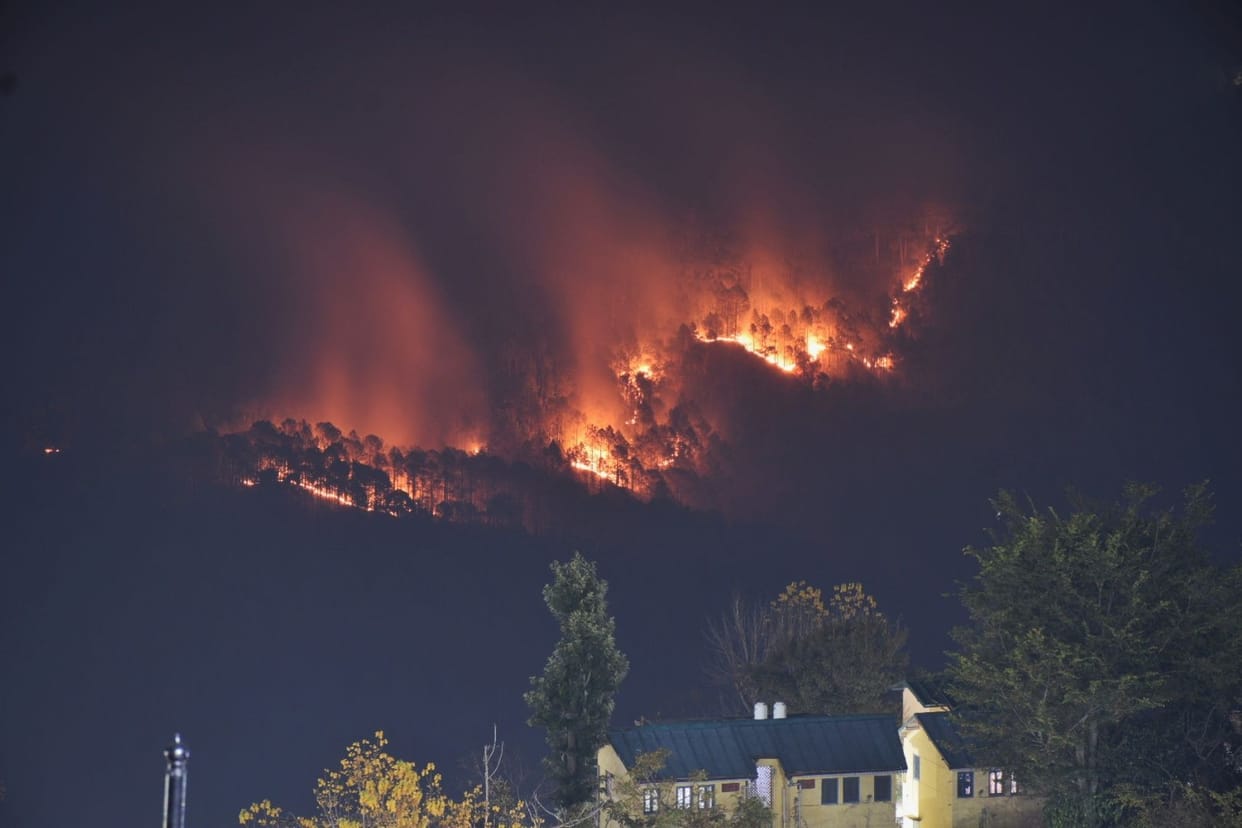 forest of dhaura caught fire