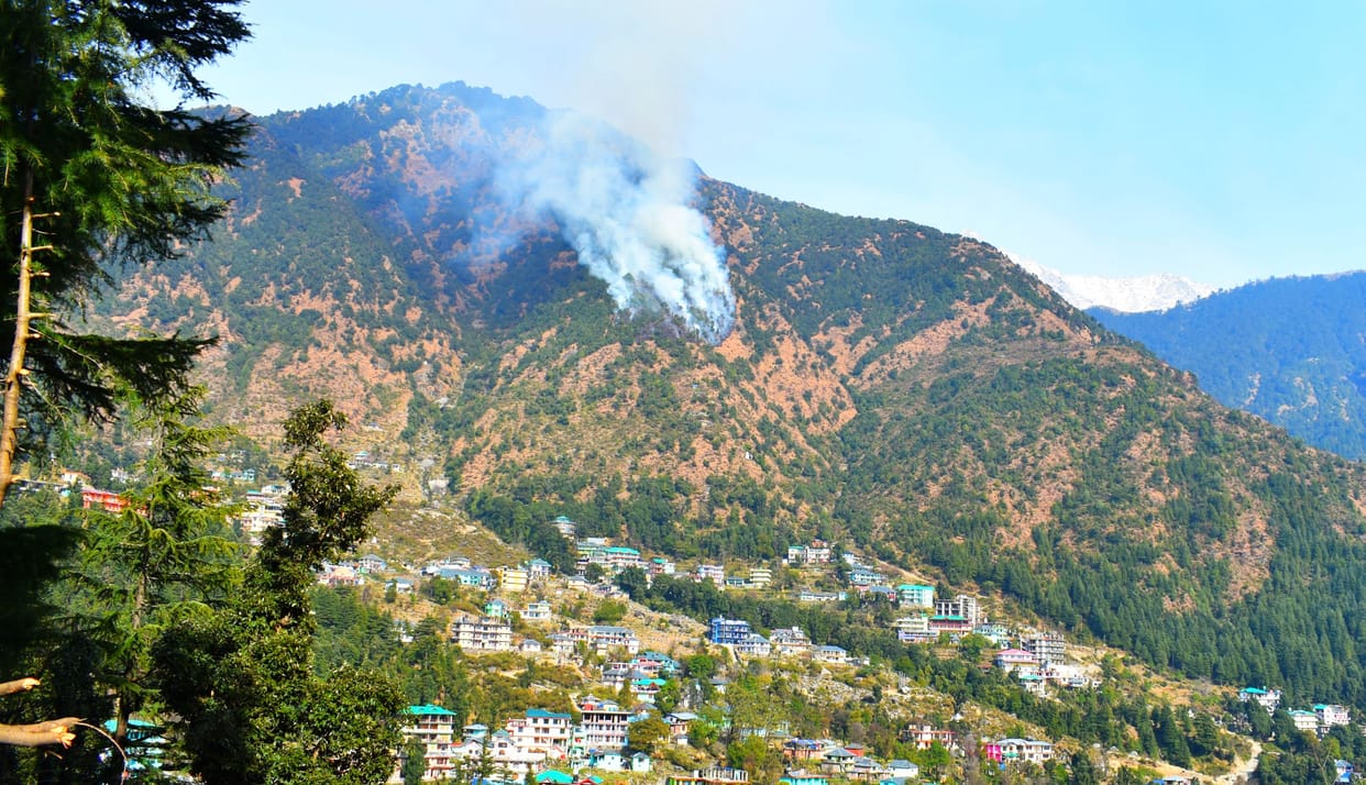 Fire in the forests of Dharmkot
