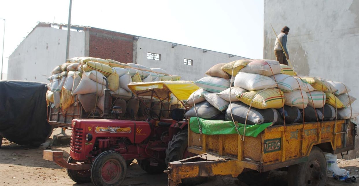 Farmers are struggling to sell paddy