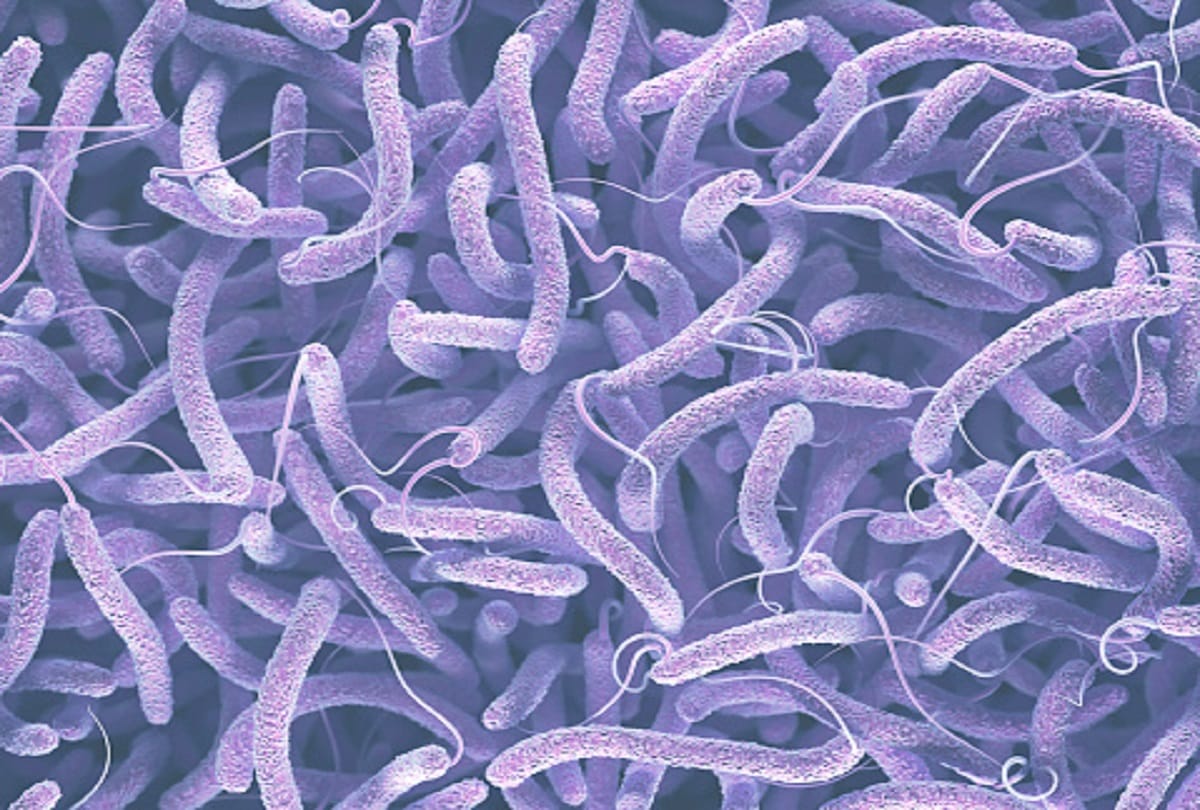 New study says Cholera outbreaks can be predicted in India through artificial intelligence