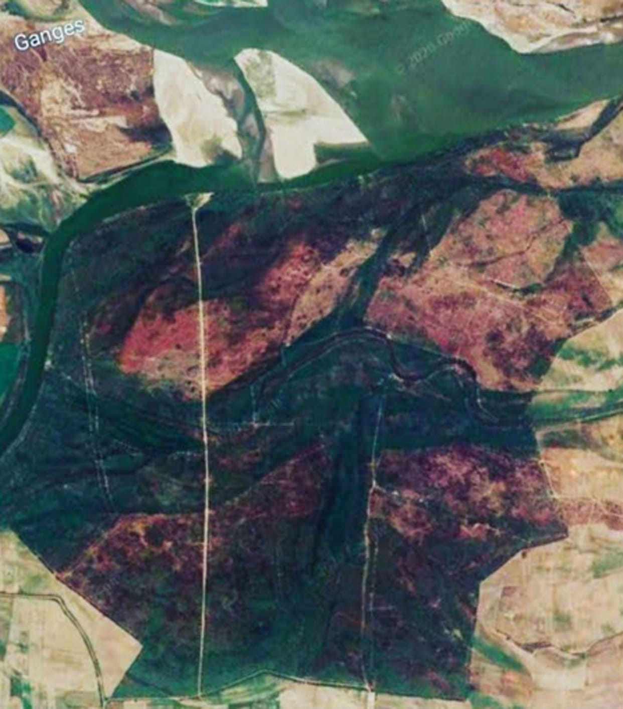 kasganj green cover