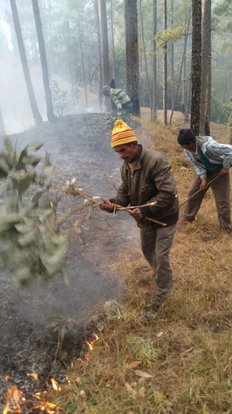 uttarakhand wildfire news: from two days forest burn in kedarnath forest range