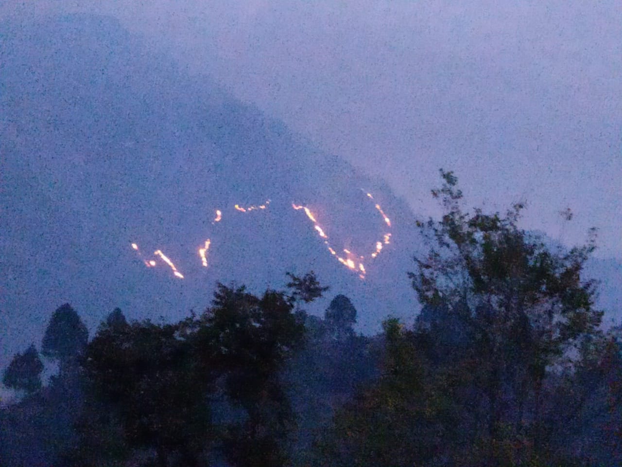 uttarakhand wildfire news: from two days forest burn in kedarnath forest range