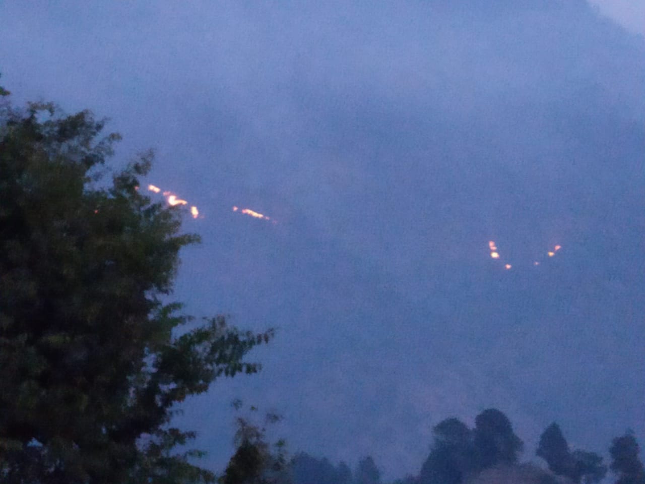 uttarakhand wildfire news: from two days forest burn in kedarnath forest range