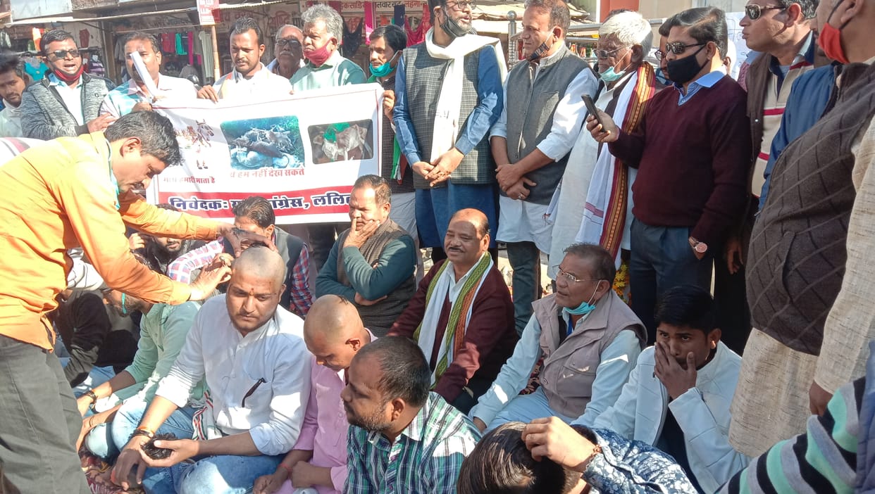 cow shelter scam, congress party protest
