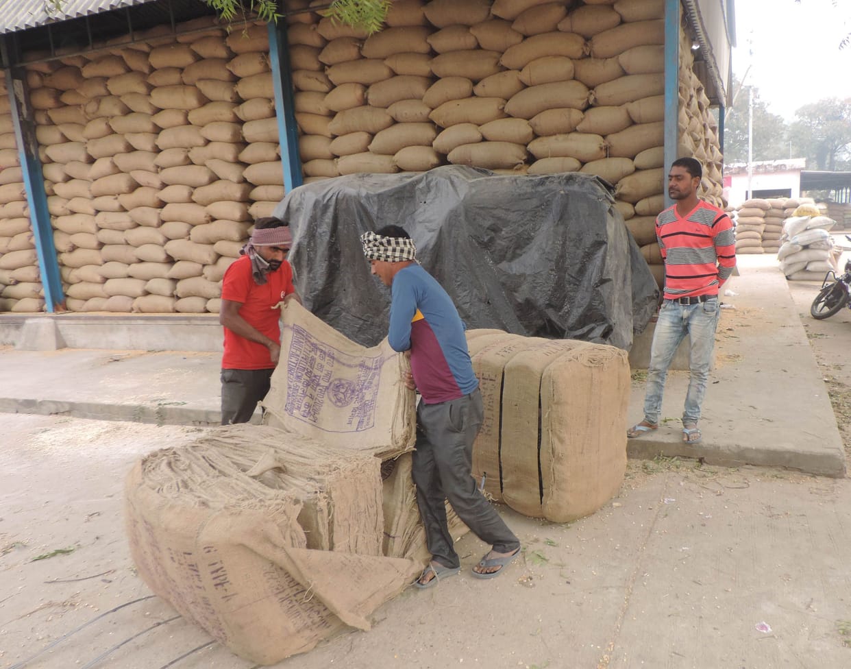 mandee samiti ke khareed kendr par pahunche khaalee paiket