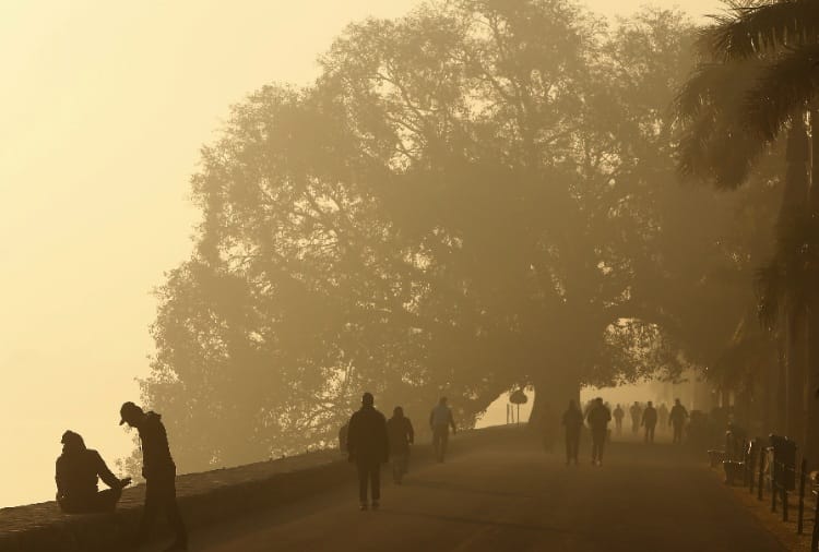 Weather News : No relief from the cold in chandigarh  
