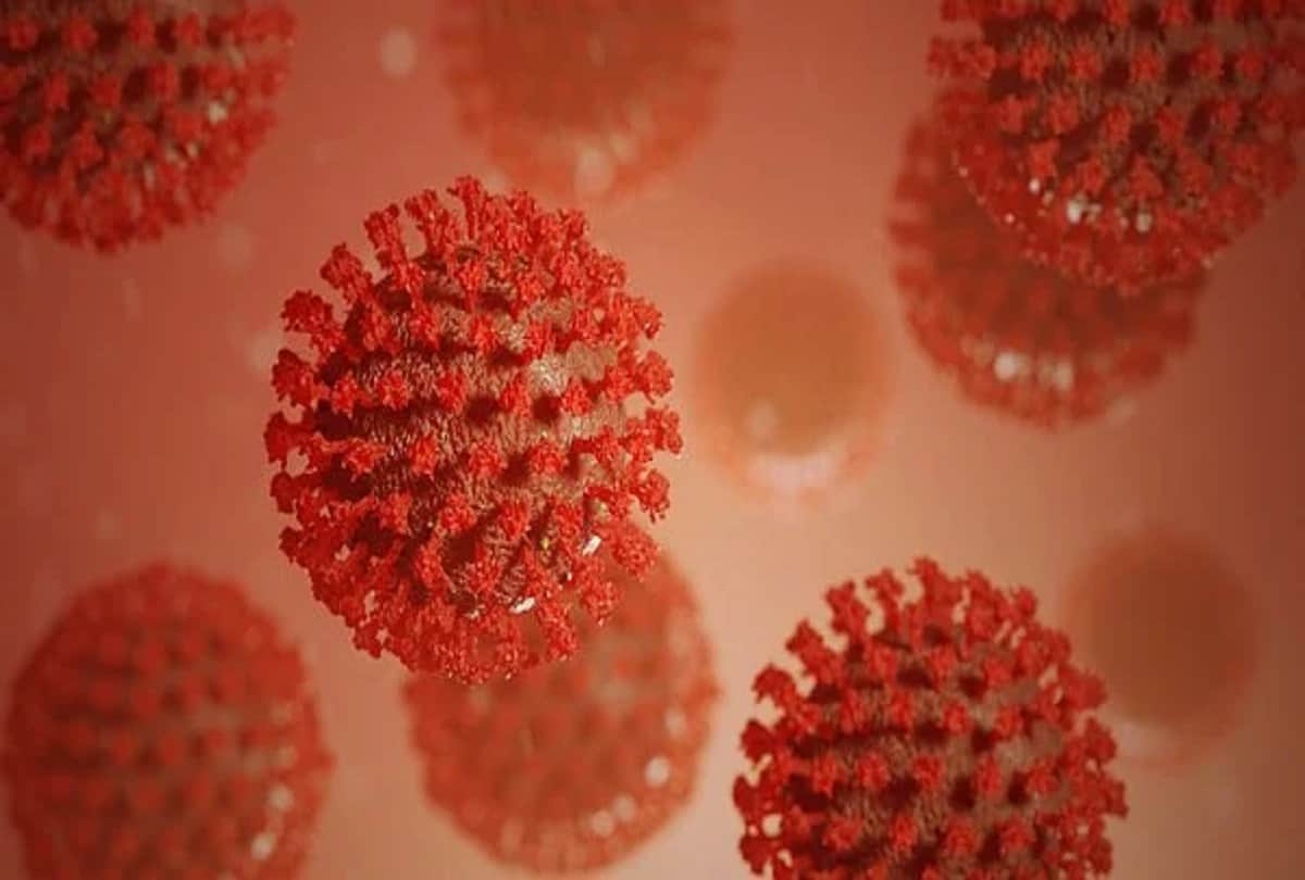 Coronavirus reinfection covid 19 new study says Senior citizens more likely to get reinfected