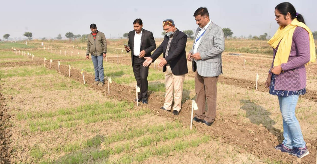 Garden of 73 species of fodder in agriculture university