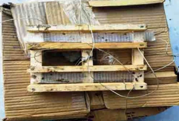 11 grenades dropped by Pak drone recovered from near border in Punjab