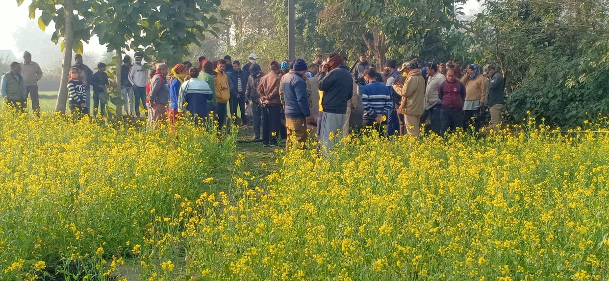 Death of tusker elephant due to high-altitude line, a case under AE and JE registered under Wildlife Act