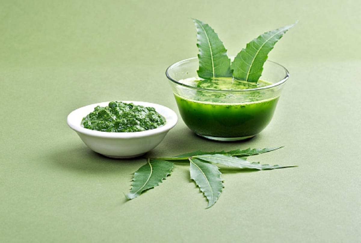 Dengue Preventive Tips Make 5 homemade mosquito repellent Spray
