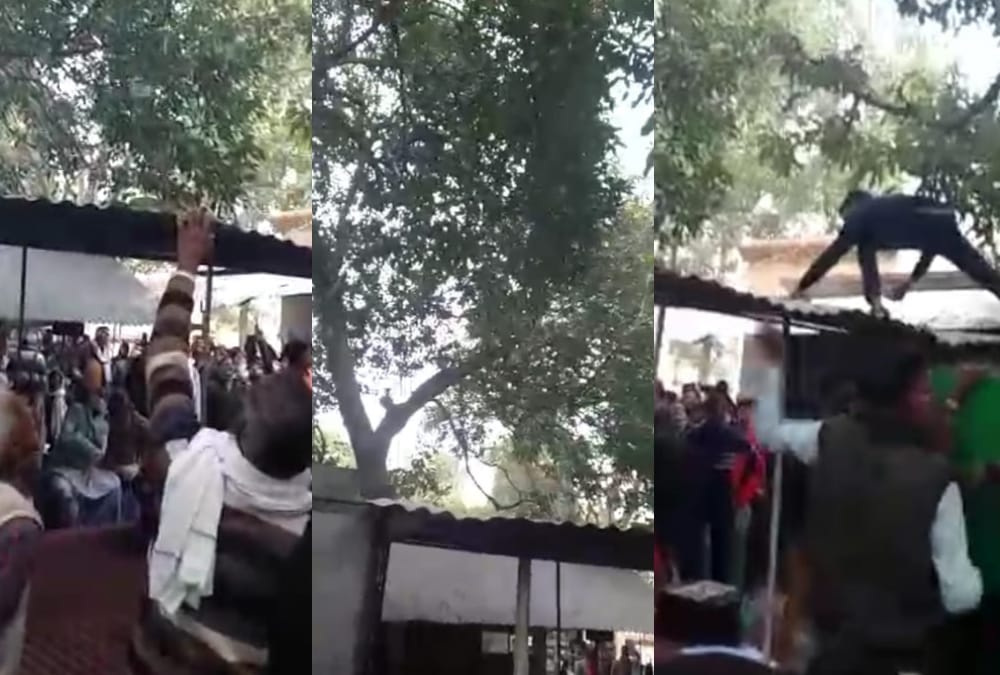 Sitapur News: A monkey take away two lakh rupees from a man