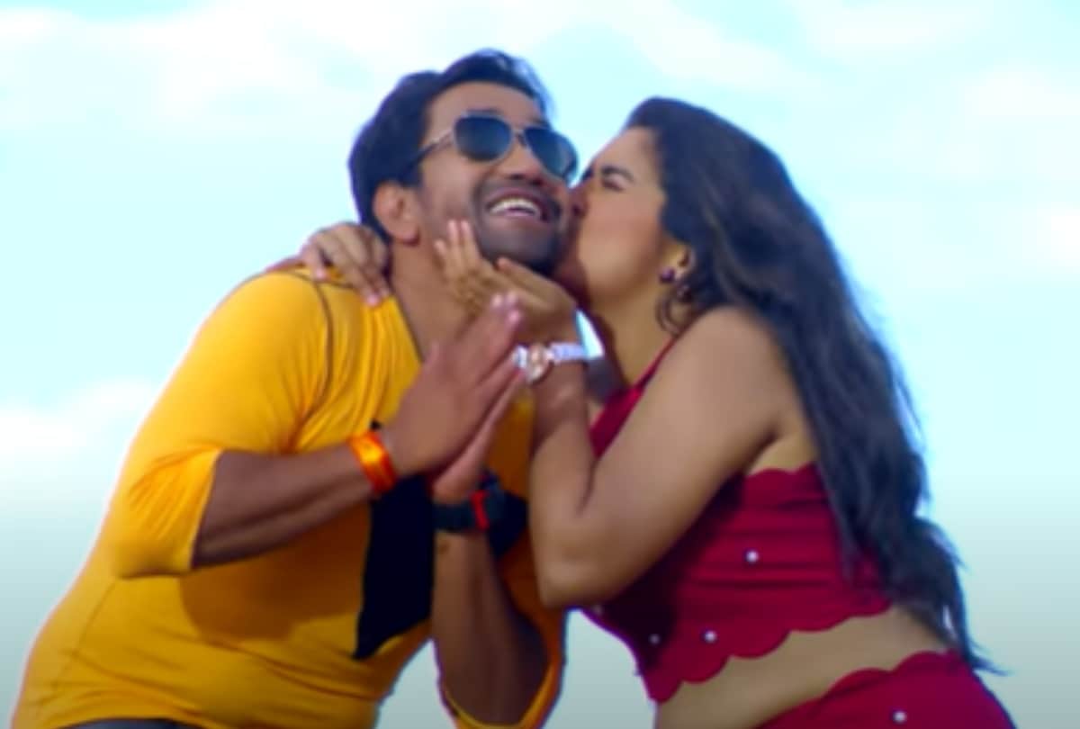 Nirhua's reaction to Amrapali Dubey's video said have you fallen in love with us