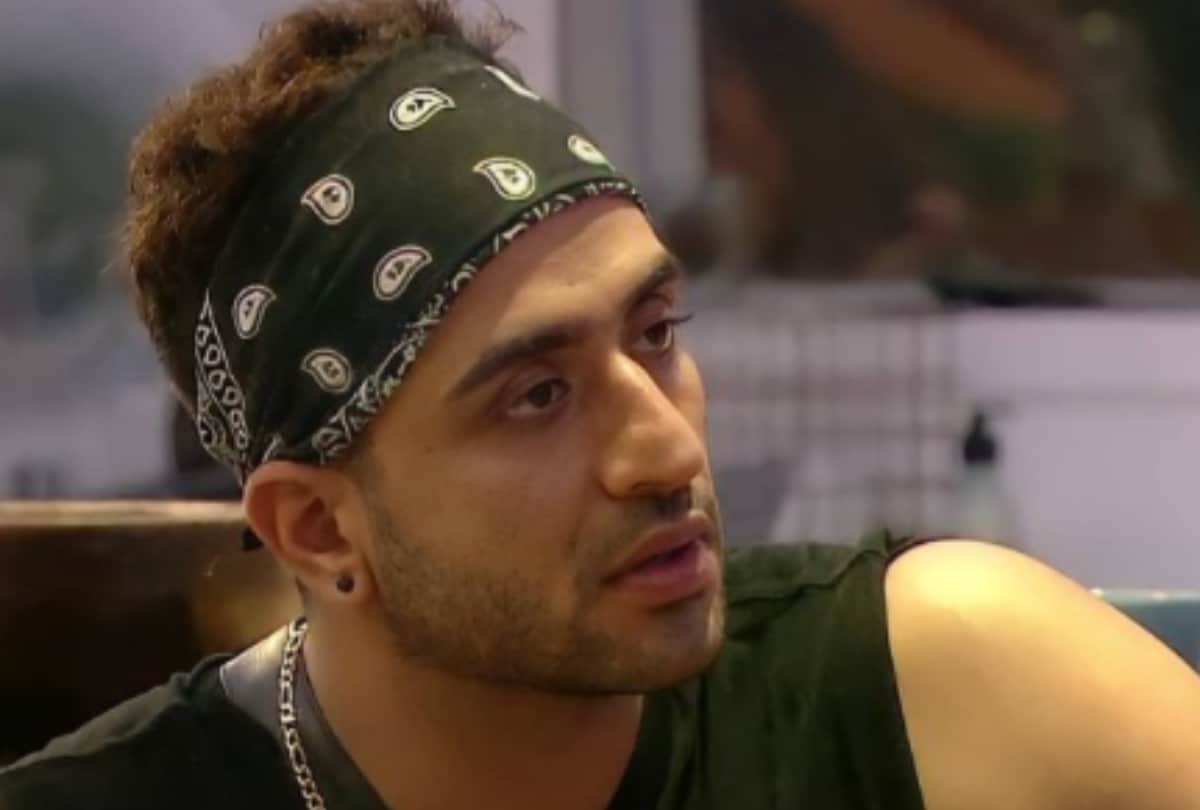 Bigg Boss 14 Aly Goni and Abhinav Shukla fought over Rahul Vaidya captaincy twitterati reaction