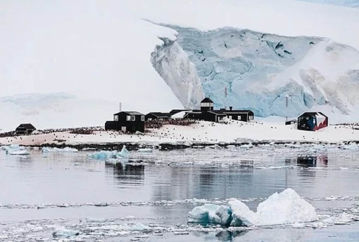 antarctica peninsula temperature will increase by 2044 due to global warming climate change