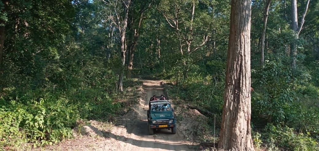 Corbett's new Garjia Zone, full of adventure games, has been a thousand safaris since November 15