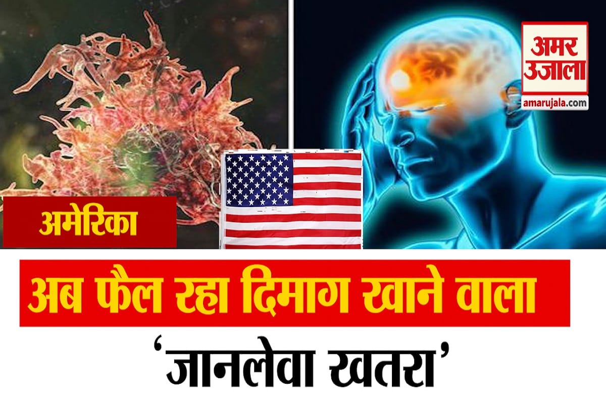 खतरनाक अमीबा