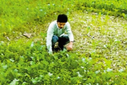 Kisan Diwas: Youth taking agriculture as a career in Lucknow.