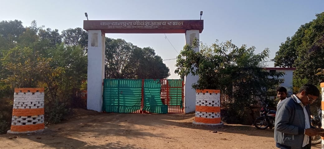 dagdagi cow shelter no entry congress member