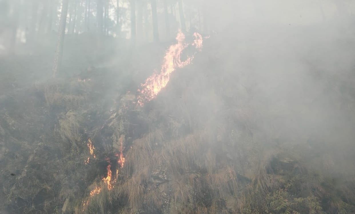 Padampuri forest fire