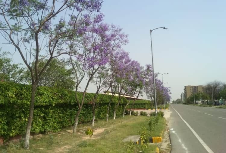 People hear Loud Explosions in Chandigarh And Mohali