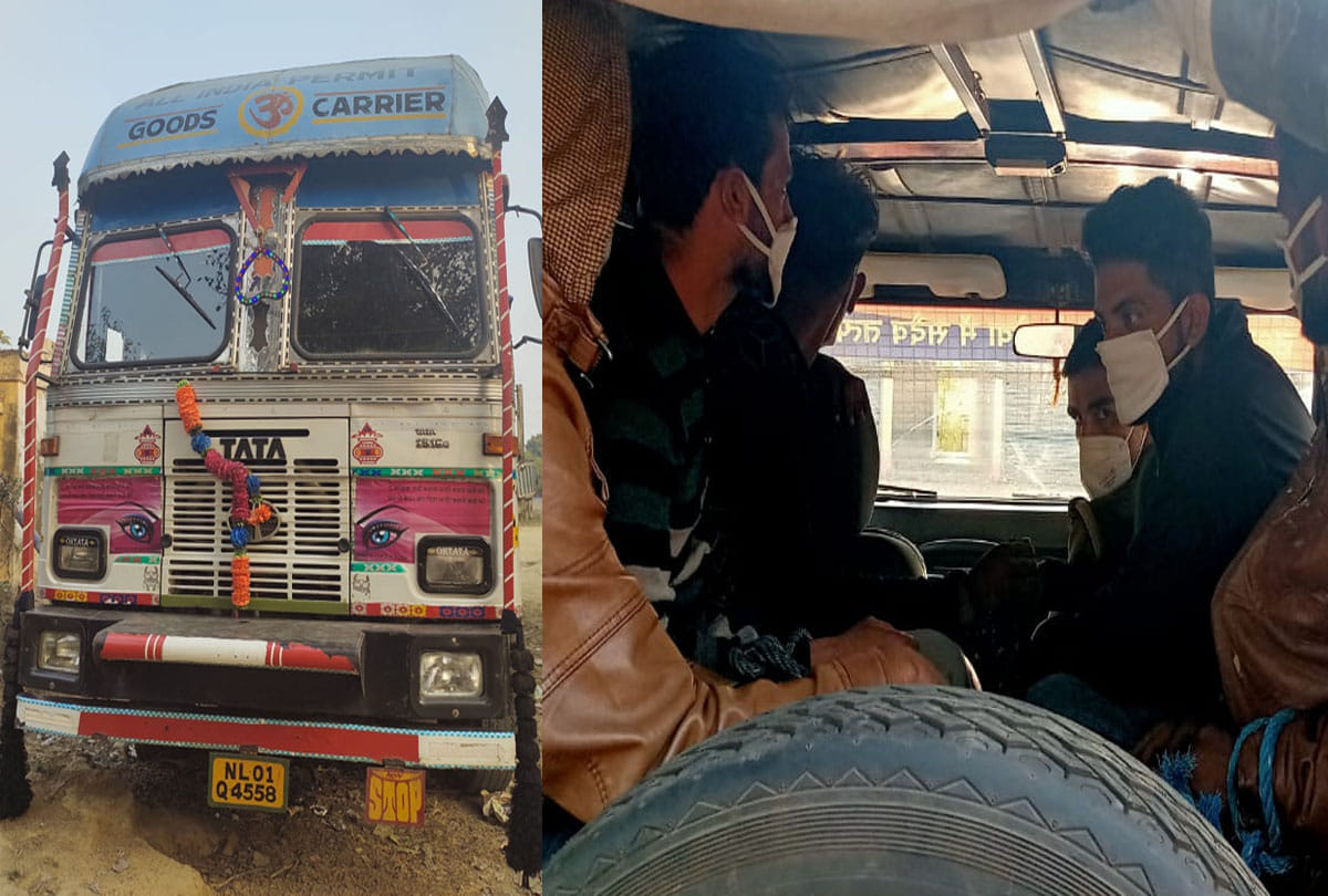 Container truck filled with cattle, five arrested