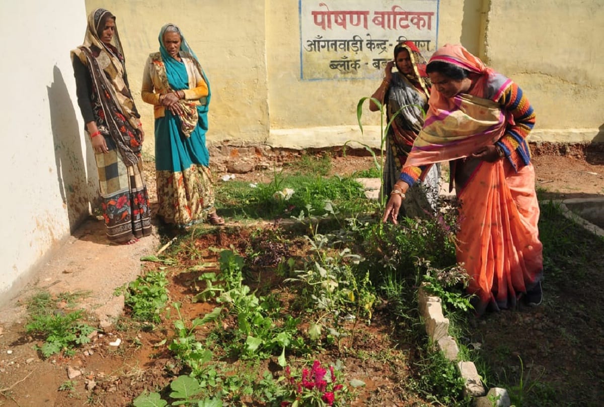 दिगारा आंगनबाड़ी केंद्र में बनी पोषण वाटिका