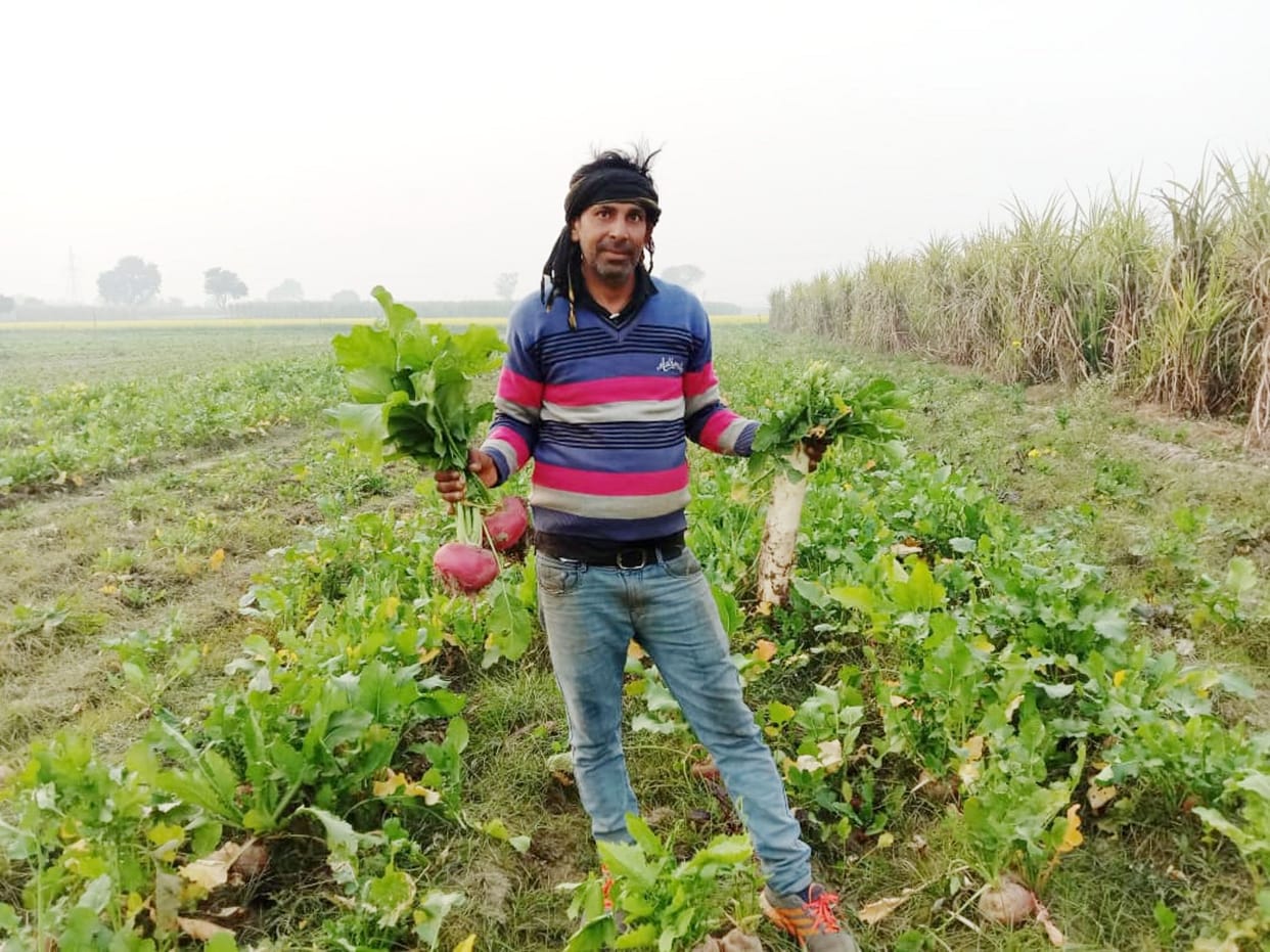 Cabbage and radish-turnip sold for Re 1 kgCabbage and radish-turnip sold for Re 1 kg