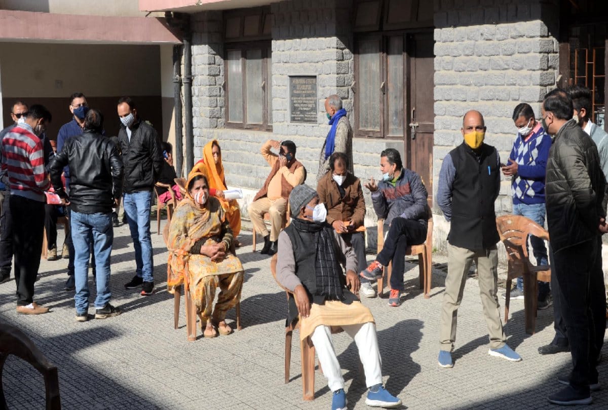 panchayat urban bodies election: doctors, engineers, lawyers and pharmacists are also in the election ground