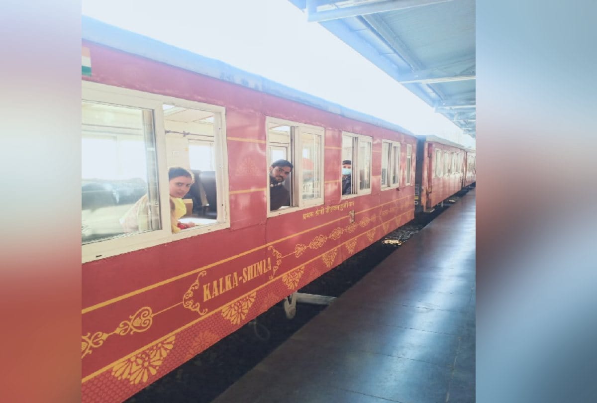 Toy train and holiday special advance booked till 31 December,  seats not even vacant in Vistadome