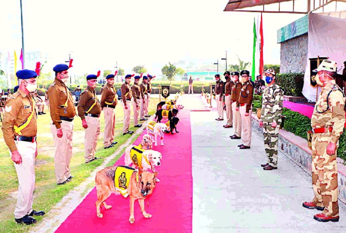 8 dogs retired after security of Metro and Kumbh Mela