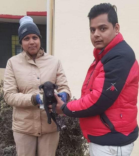 help for animals in winter