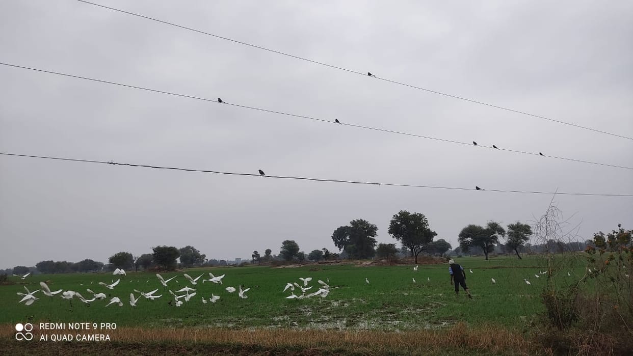 farmer trouble by high tension line over field