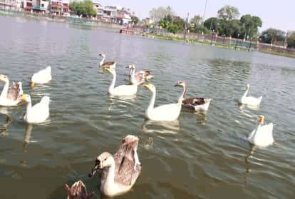 आंतिया तालाब...