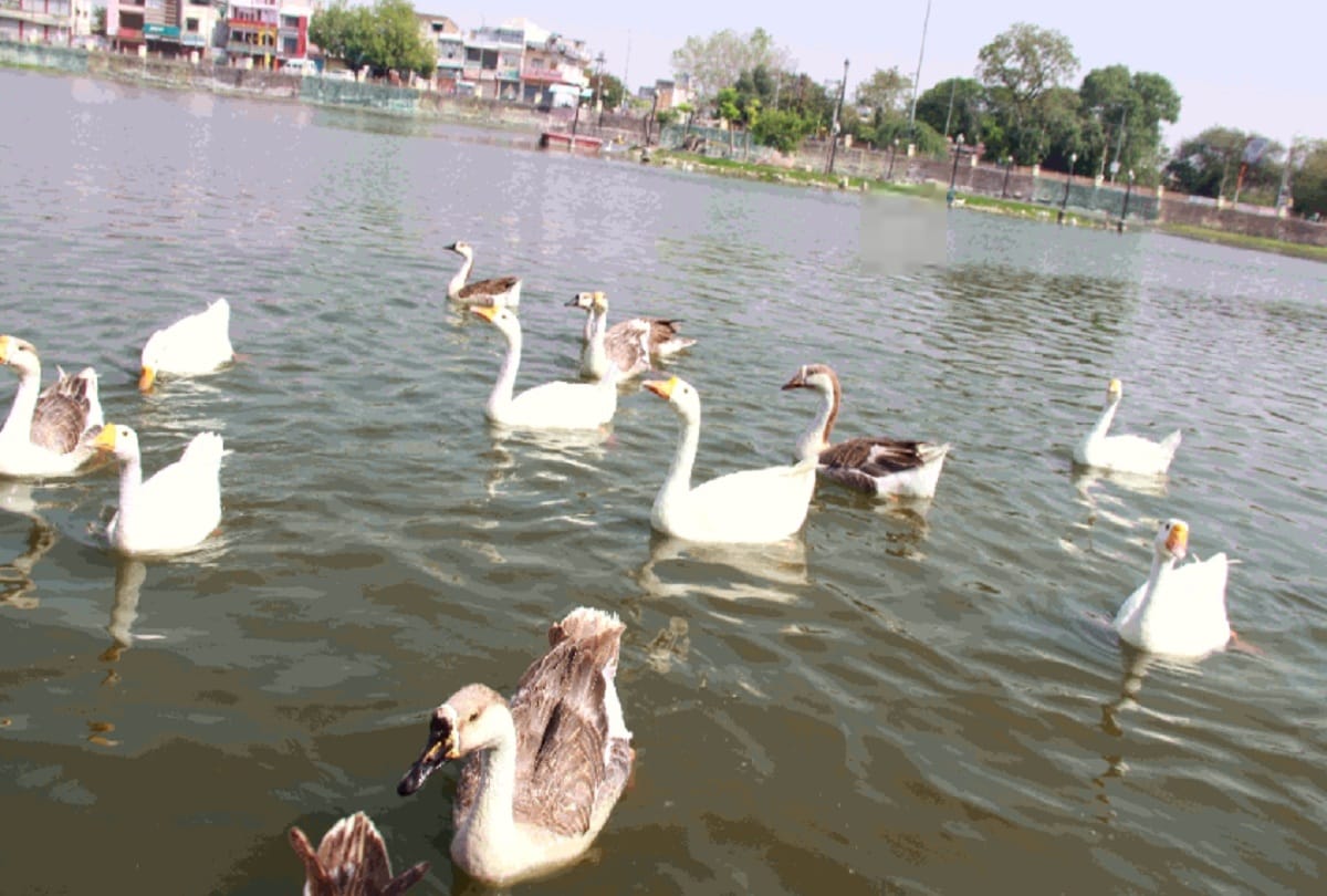 reminiscences of passing year 2020 about jhansi