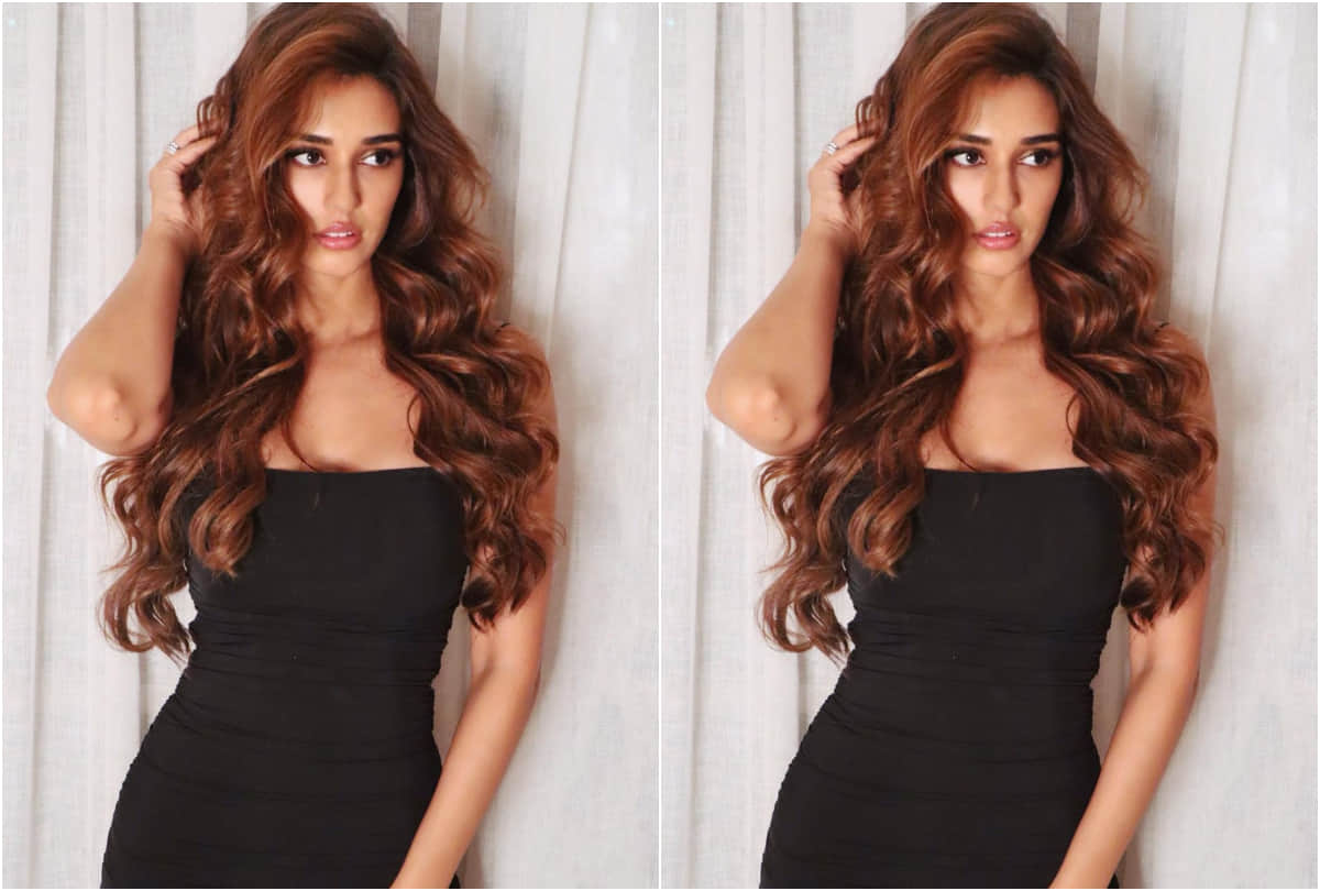 disha patani look hot in black bodycon cutout tube dress from bigg boss 14 weekend ka war
