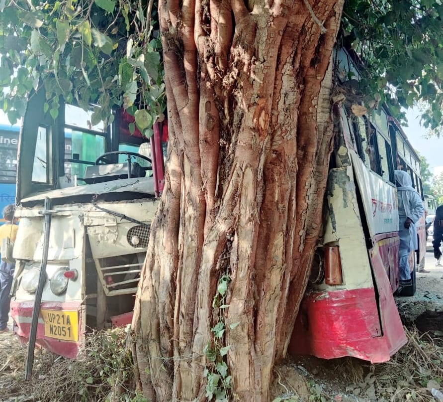 Roadways bus collided with tree, 15 passengers injured