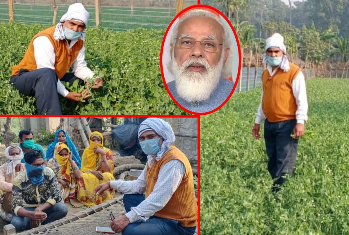 Maharajganj farmer work on land after communicating with PM Modi