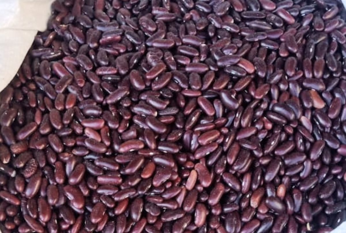 make rajma salad to reduce fat perfect for diet conscious people