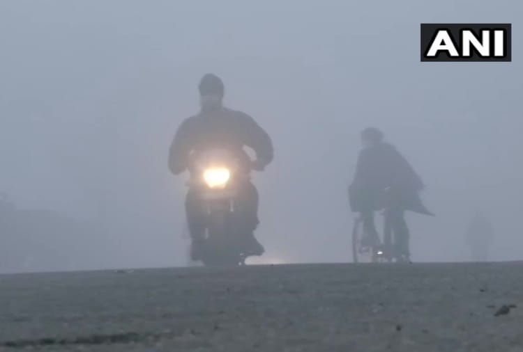 Dense fog in Punjab, likely to rain in coming days 