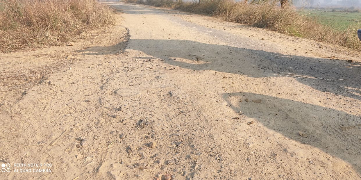 mahewa sarsai naar me banegi chc